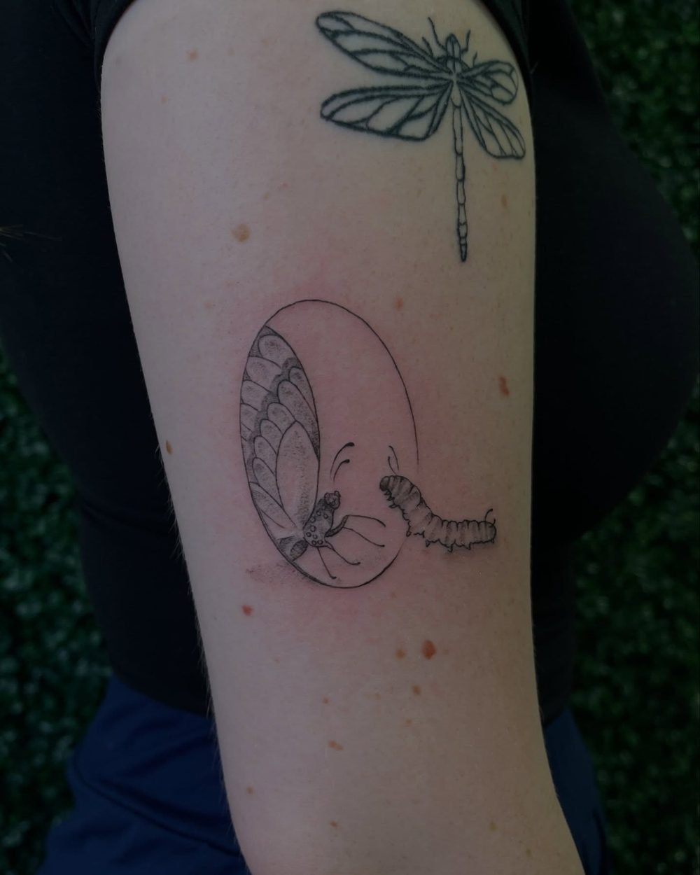 Fine line dragonfly and moth on the arm