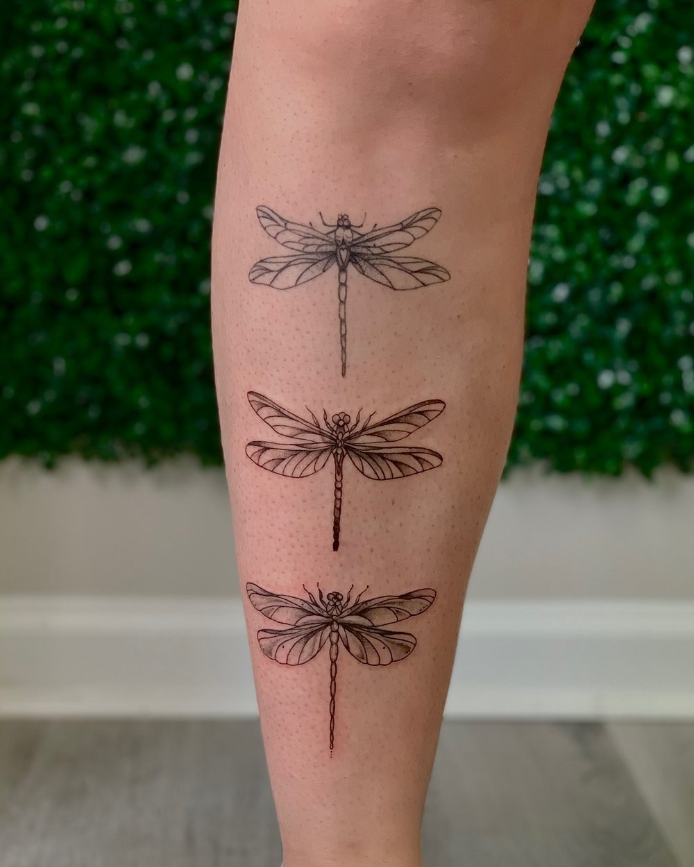Trio of fine line dragonflies down the forearm