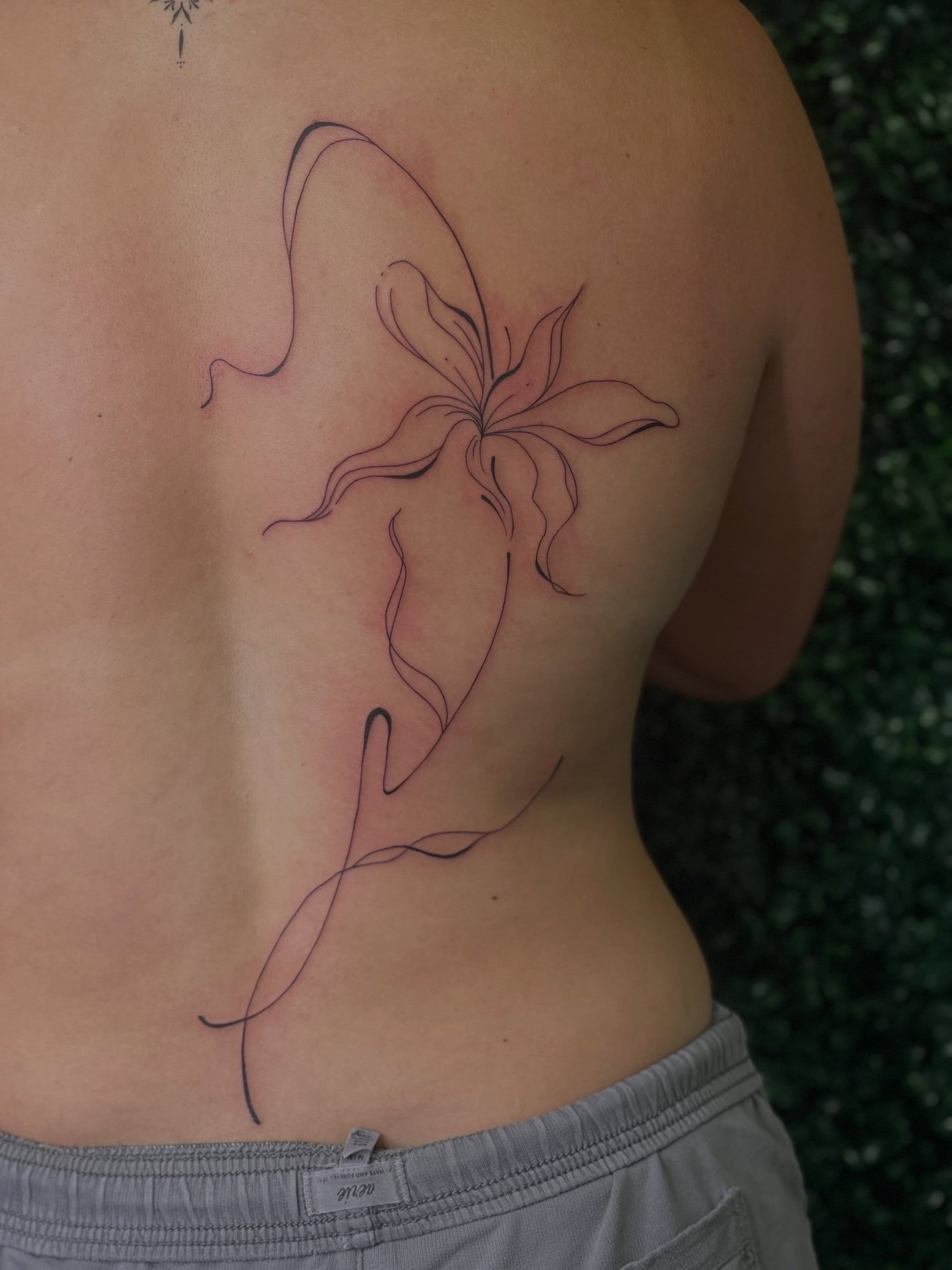 A fine line lily tattooed down a client's back